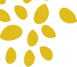 Decoración