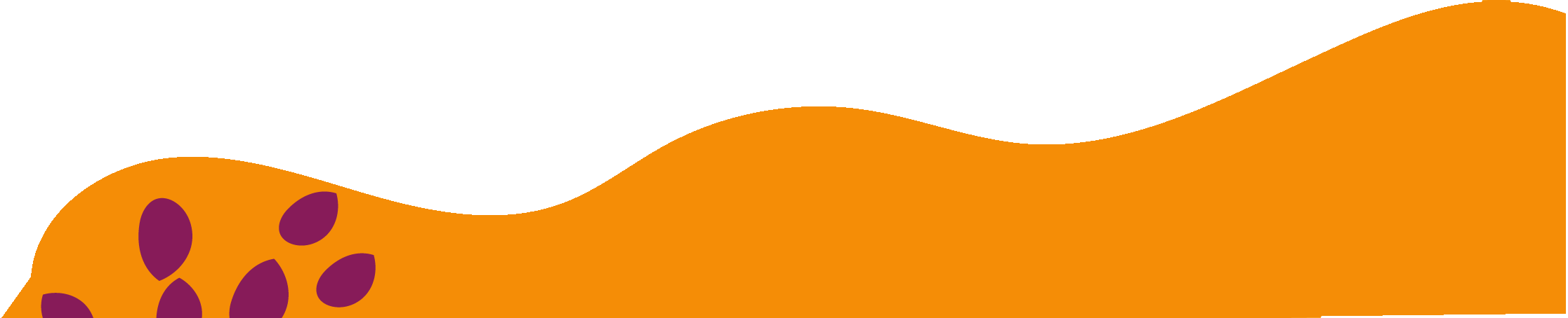 Decoración