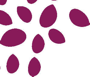 Decoración